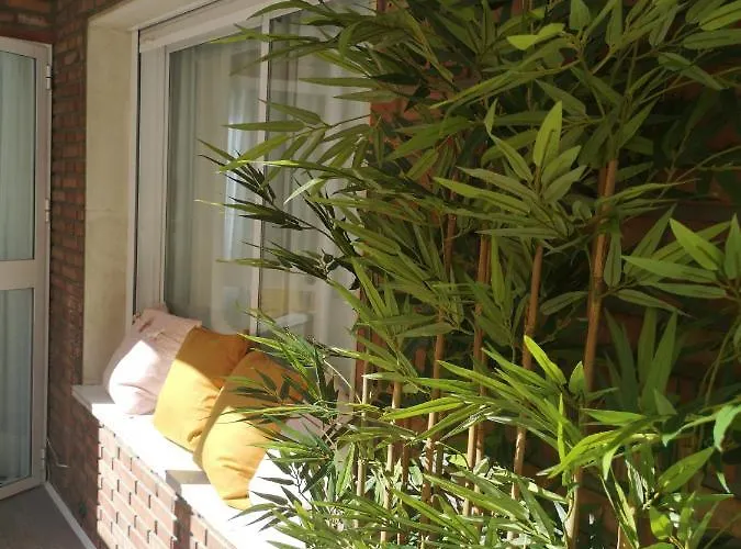 Living4malaga Soho Orangerie Deluxe Appartement Málaga